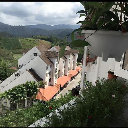 Bukit Tinggi Fuchsia Hillhomes Dış mekan fotoğraf