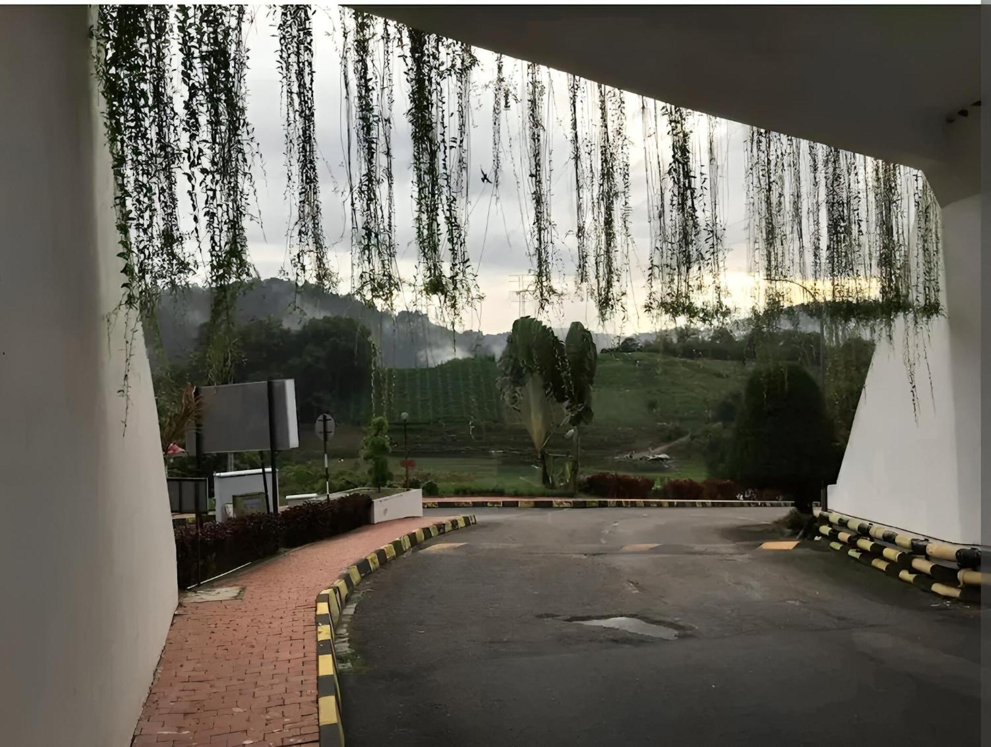Bukit Tinggi Fuchsia Hillhomes Dış mekan fotoğraf